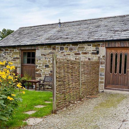 Penno Cottage - 24440 Bodmin Εξωτερικό φωτογραφία